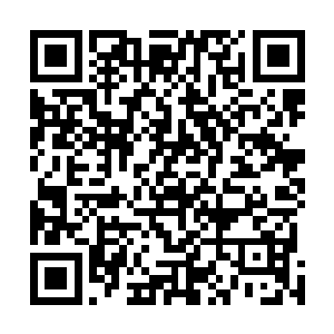 我怀疑那个小孩就是我们上次在那座地下宫殿找到的小孩二维码生成