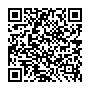 我怎么可能比地球时代的亿万政治家还有科学家更强二维码生成