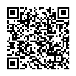 我怎么就老了呢该隐退去执教的人不是应该是我吗二维码生成