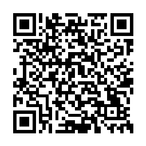 我怎么感觉你这个话有那么一些在蛊惑我的意思二维码生成