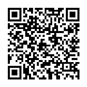 我怎么感觉龙翔的穆朝然唐宁宇姿态都摆的挺低的二维码生成