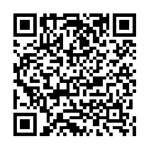 我怎么看到小世子他……他抱着苏落大人的大腿二维码生成