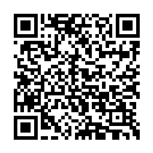 我怎么看着这位九天圣地的新圣主象是一个人啊二维码生成