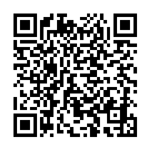 我怎么觉得你一点都不担心自己能不能离开这个鬼地方二维码生成