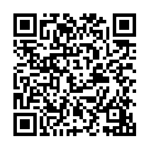 我怎么觉得大师兄出来的时候跟进去时的感觉不一样了二维码生成