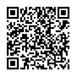 我怎么都会把我的目标人物活着带进特拉维夫的二维码生成