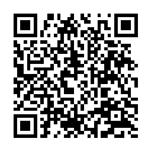 我怕四方鼎镇压不住斜月至尊域这么大的世界……二维码生成