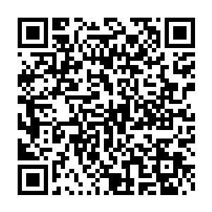 我总不能每天在大门口摆着一只岩魔兽让青山书院所有的炼丹师垂涎吧二维码生成