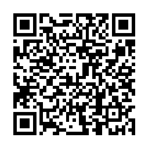 我总不能看着他们在昊天域界外一言不合就动手吧二维码生成