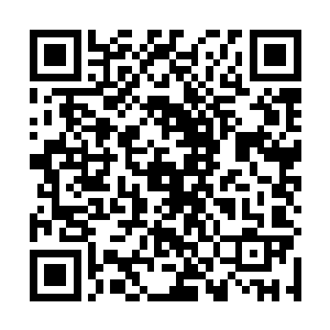 我总算也是知道了这骆氏一族恐怕在这宛州是强的很了二维码生成
