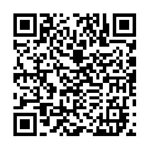 我总算明白为什么潘多拉之狼这些家伙老是以你为目标了二维码生成
