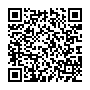 我总算知道为什么房间里的其他人都一副呆呆的表情了二维码生成