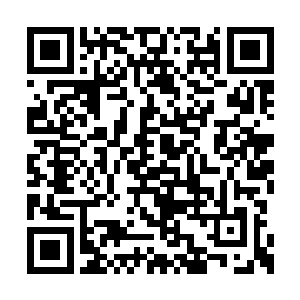 我恐怕只会伤心苦叹自己的儿子和女儿离世过早二维码生成