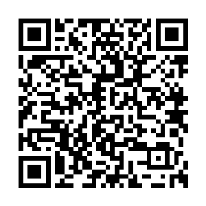 我恨他为什么要放弃武者的荣耀以及家里的娇妻二维码生成