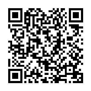 我恨啊……为什么那么懦弱……为什么在有机会的时候二维码生成