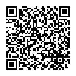 我惊讶了没有想动这恶心腥臭的血水之中居然蕴涵着如此强大的能量二维码生成