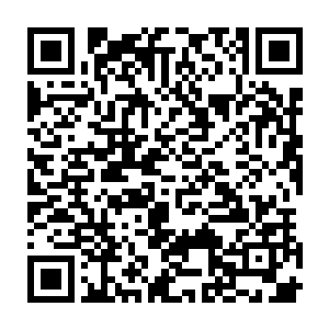 我想一个很大的原因就是人家女孩不愿和你一起住进那家破破烂烂的平房吧二维码生成