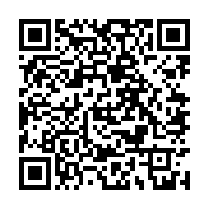 我想他们现在已经开始认识到自身的问题和状况了二维码生成