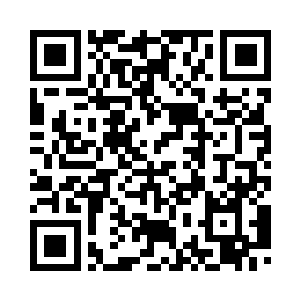 我想你们一定会有大量的支持者的二维码生成