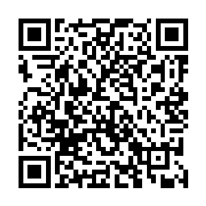 我想你们可能还不知道整座王城都被大巫们下了魔力禁制二维码生成