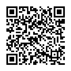 我想你肯定忘记自己几天前差点被狼吃掉的经历了二维码生成