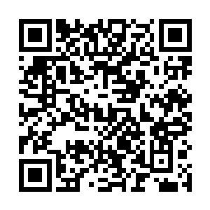 我想做性贿赂的人也许就是瑞茜自己――而不是珍妮弗二维码生成