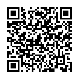 我想到这里看着建木的样子估计也破一具石棺还需要点时间二维码生成