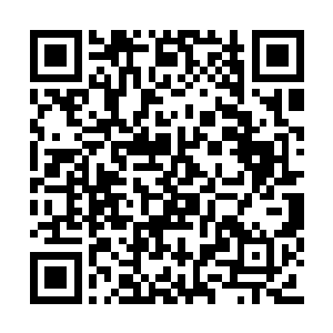 我想单独设立一个国有资产监督管理委员会……二维码生成