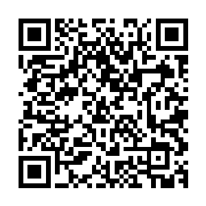 我想各位道友如今都知道在仙界有着六个强混沌兽和域外天魔二维码生成