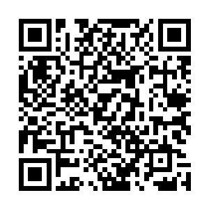 我想在朱晋岩强大的律师团帮助下你也没有任何成功的可能二维码生成