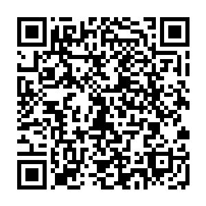 我想在这个星期内艾丽应该能写出初稿了――如果珍妮弗没有别的意见的话二维码生成