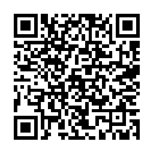 我想大娘和姐姐们是因为你不知道你是个什么样人二维码生成