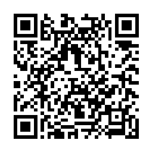 我想如果可以有其他等级的战技秘籍参详一下的话二维码生成