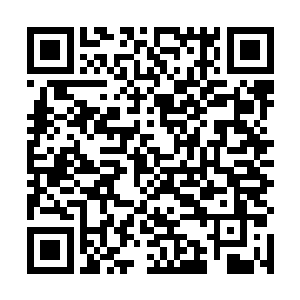 我想如果我通过这层私入关系邀请季振祥夫妇见一次面二维码生成