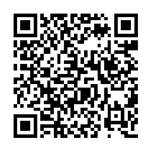 我想将上次武王墓之行所获的功勋一半划给你们二维码生成