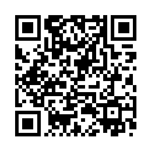 我想想先试试咱们团这些飞机的性能……二维码生成