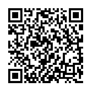 我想我们碰到的也许已经不是百年的鬼头太岁了二维码生成