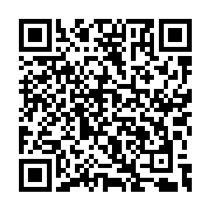 我想我刚差点把一个值钱的人情就这样送了出去二维码生成