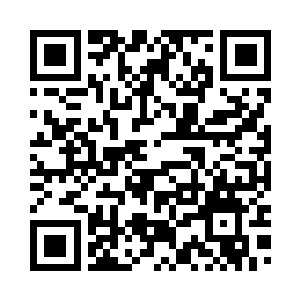 我想找几个下属来帮我一起做保单二维码生成