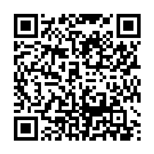 我想搁谁身上都得是在一个自我矛盾的状态中继续前行二维码生成