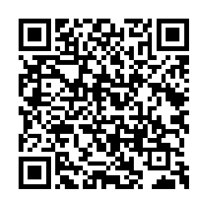 我想既然第一个吃这道菜的是皇上以及各位大臣二维码生成