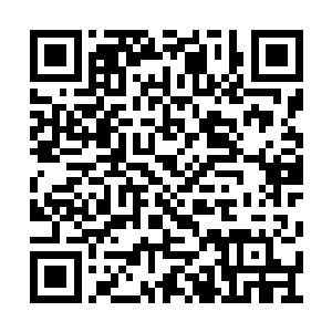 我想明天在民航路的花中城酒店请你们吃顿便饭二维码生成