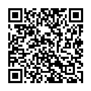我想最多不超过半个月的时间就能够全部完成了……二维码生成