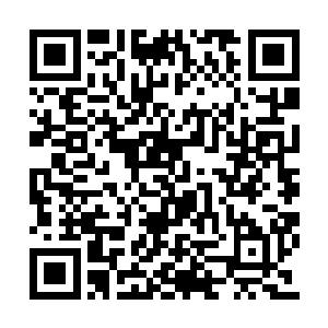 我想现在元门肯定需要很多林向阳独家的武器吧二维码生成