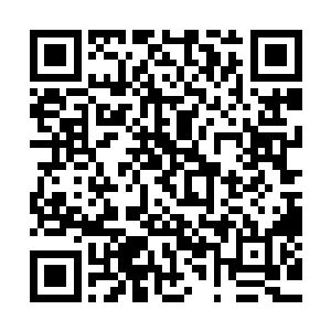 我想现在再进去看看究竟是不是她所需要的古傀儡术残篇……二维码生成