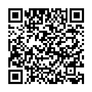 我想知道米斯特赵是怎么看出他不是真正的罗索夫的二维码生成