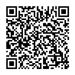 我想绝大部分人一定会认为伊布拉希莫维奇才是这个球最大的功臣二维码生成