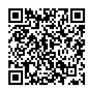 我想聘请您担任我们即将成立的海军大学的军事教官二维码生成