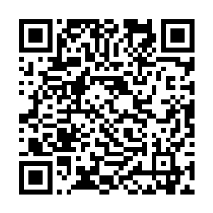 我想背后的那帮老家伙们现在已经分析出来一些什么二维码生成