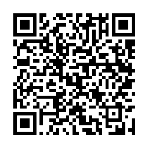 我想要催动那可隐身纸人去窥探结界内里更多情况二维码生成